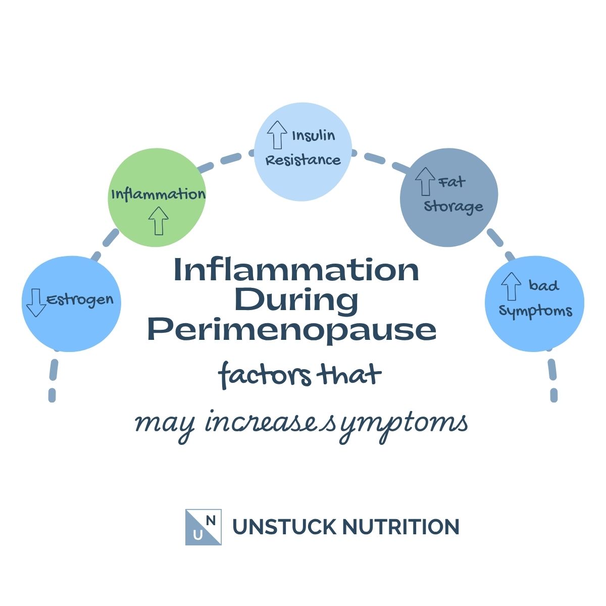 How perimenopause affects inflammation: falling estrogen raises inflammation, which raises insulin resistance and fat storage and can worsen symptoms