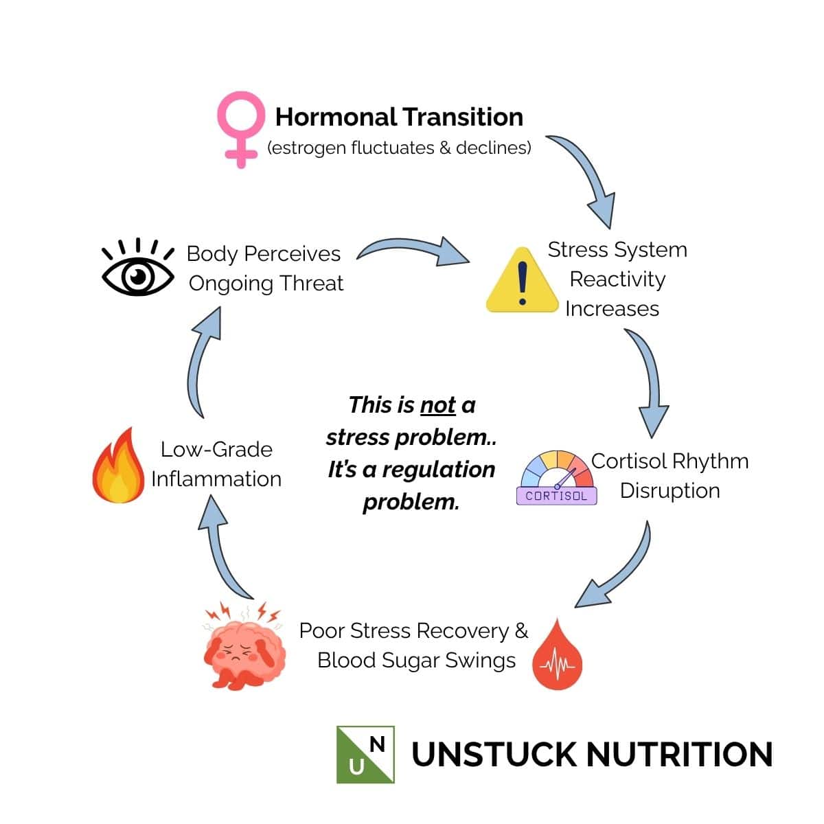 Infographic showing the midlife cortisol-inflammation cycle where hormonal changes increase stress system reactivity, disrupt cortisol rhythms, worsen blood sugar swings and stress recovery, increase low-grade inflammation, and further amplify stress responses.