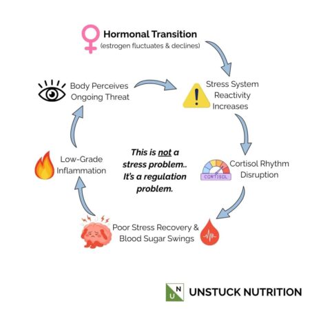 Stress-cortisol-inflammation cycle with disruptors to system in midlife
