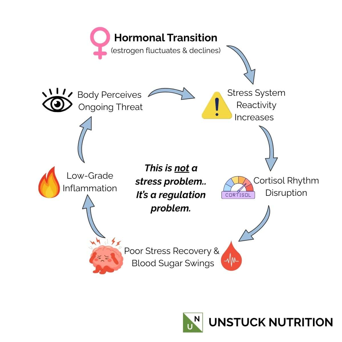 Stress-cortisol-inflammation cycle with disruptors to system in midlife