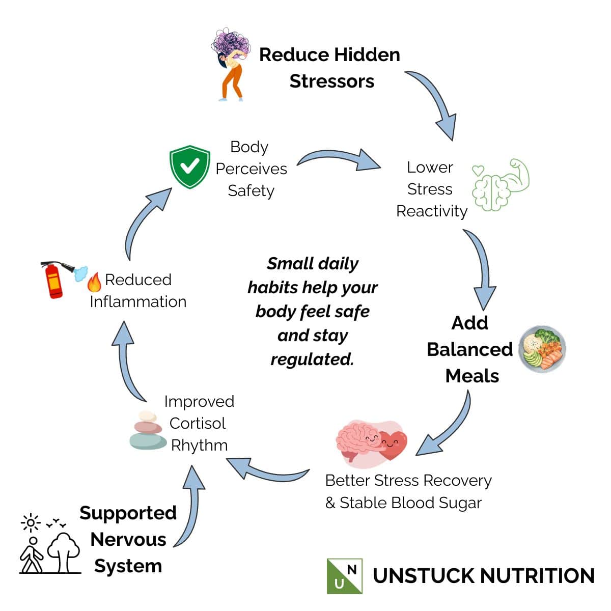 How to Break the Stress–Cortisol–Inflammation Cycle with balanced meals, a supported nervous system, and reducing hidden stressors
