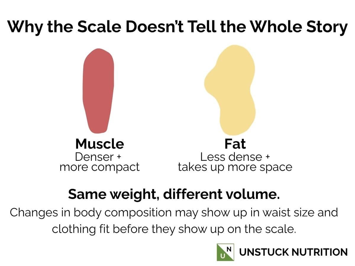 Illustration comparing muscle and fat, showing that muscle is denser and more compact while fat takes up more space for the same weight.
